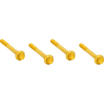 CRANKCASE BOLT KIT - 12PT GOL - 17-26 FLT/18-26 SFTL/26 TRK