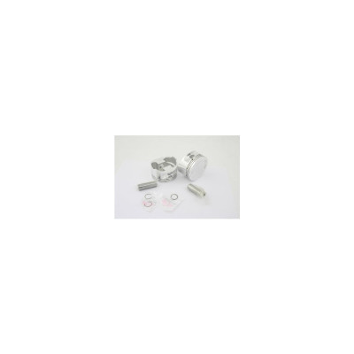  R/T FRG.PSTN KIT 3 13/16"+.010 