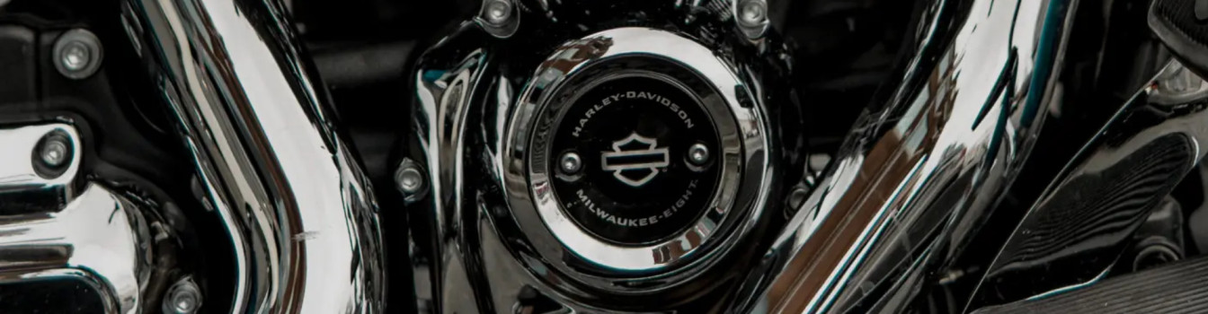 Transmission 4-STROKE HARLEY DAVIDSON SOFTAIL DEUCE (FXSTD 1450) 2005