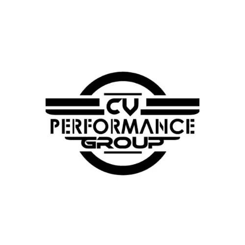 CV PERFORMANCE