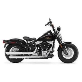 Harley Davidson Cross Bones (FLSTSB)