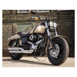 Harley Davidson Dyna Fat Bob (FXDF 1690)