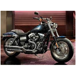 Harley Davidson Dyna Fat Bob (FXDF 1584)